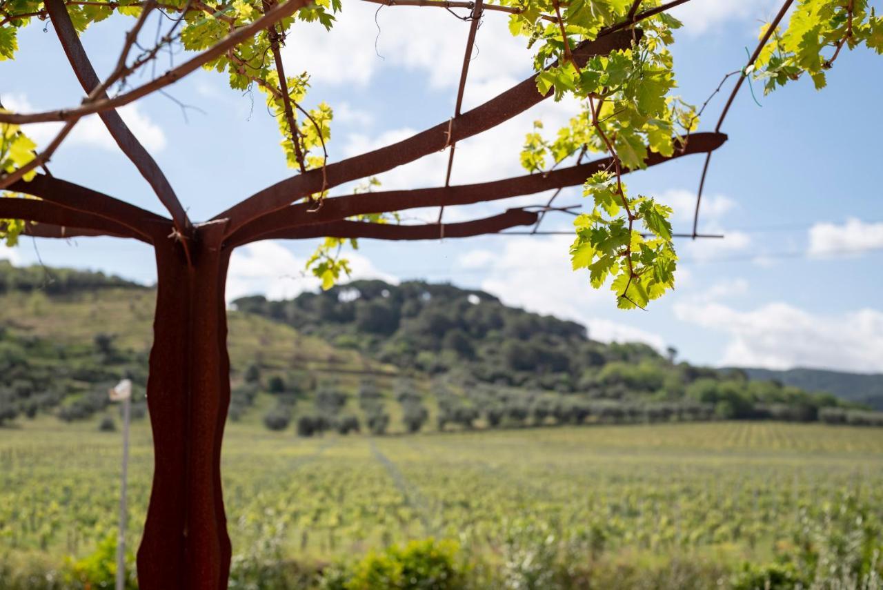Podere Vignanova Accommodations & Spa Кастаньето-Кардуччи Экстерьер фото