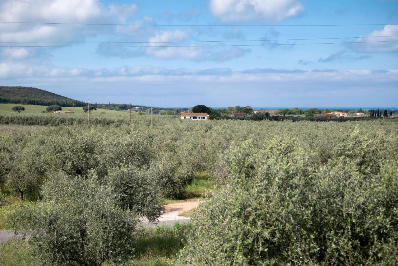 Podere Vignanova Accommodations & Spa Кастаньето-Кардуччи Экстерьер фото